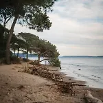 Proche De La Avec Jardin *