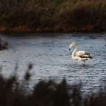 Proche De La Avec Jardin Hyères