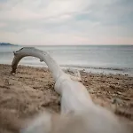 Proche De La Avec Jardin * Йер