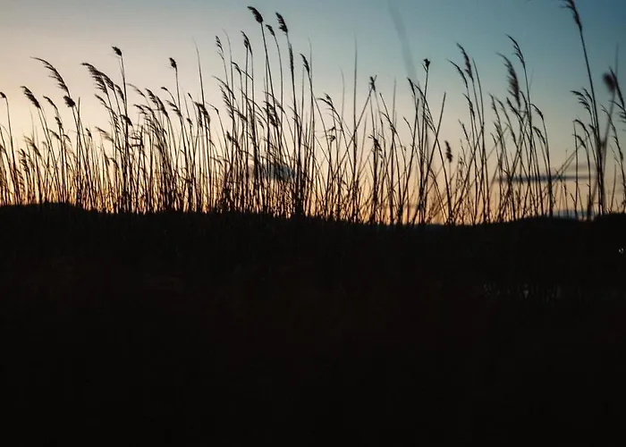 Proche De La Avec Jardin *