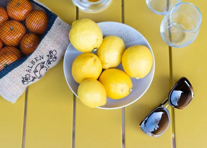 Proche De La Avec Jardin Hyeres