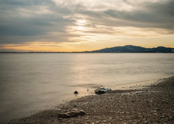 Apartment Proche De La Avec Jardin Hyeres