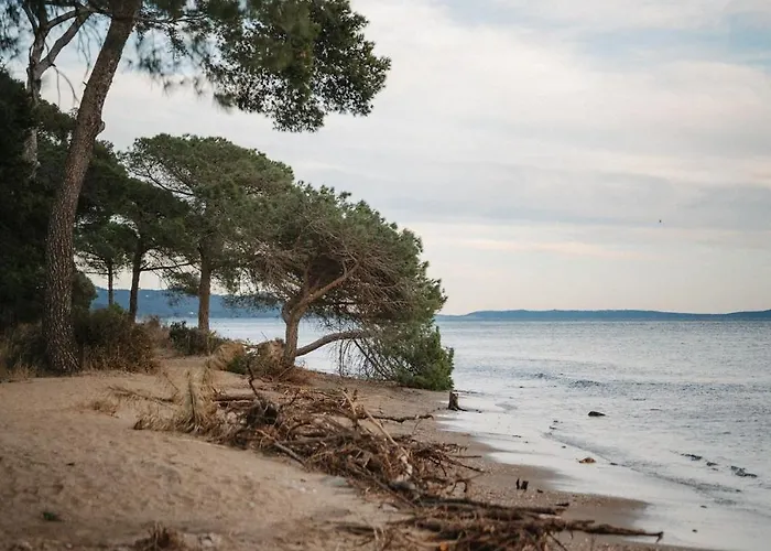 Proche De La Avec Jardin *