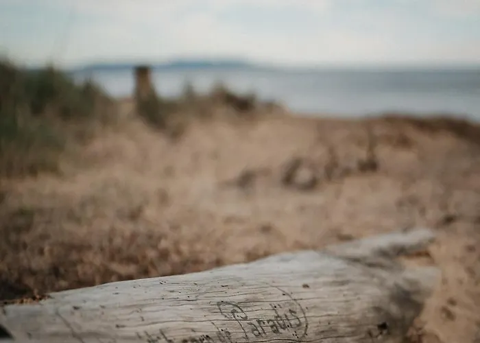 Proche De La Avec Jardin Apartment Hyeres