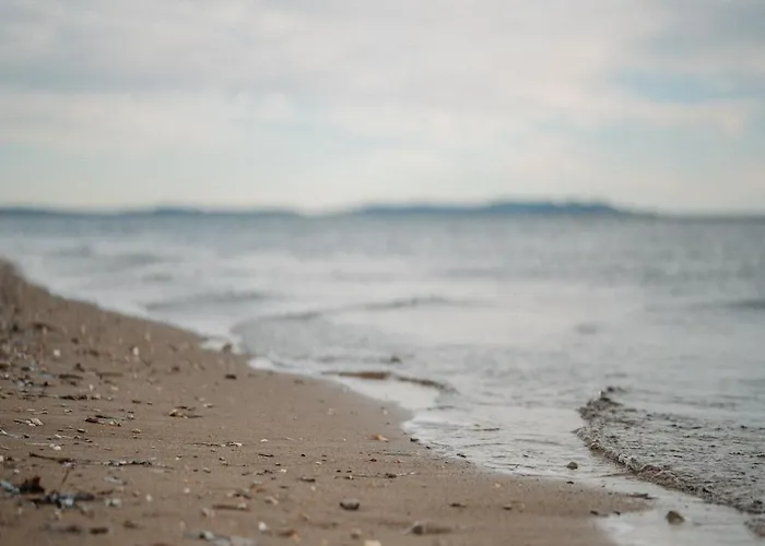 Apartment Proche De La Avec Jardin