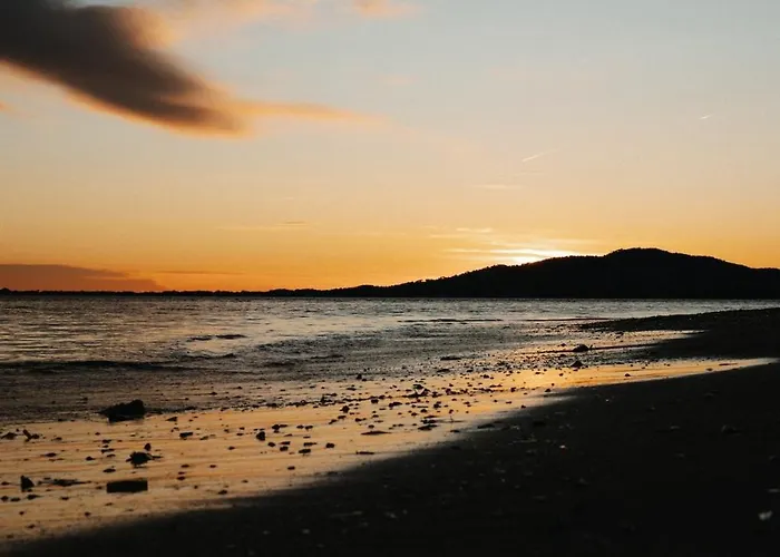 Proche De La Avec Jardin