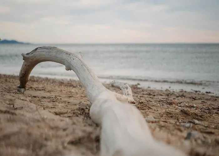 Proche De La Avec Jardin * Hyeres